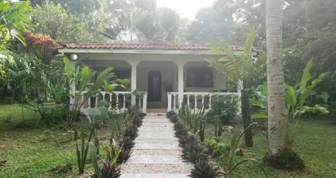 Hostal Cecilia Puerto Viejo de Talamanca Buitenkant foto