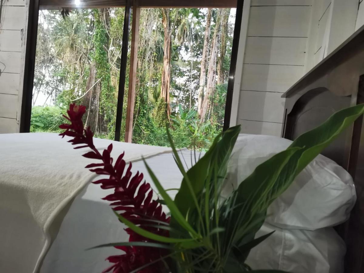 Hostal Cecilia Puerto Viejo de Talamanca Buitenkant foto
