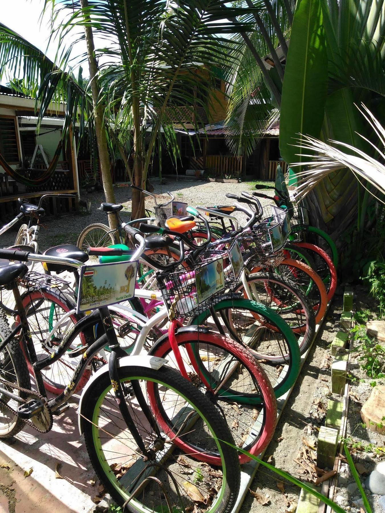 Hostal Cecilia Puerto Viejo de Talamanca Buitenkant foto