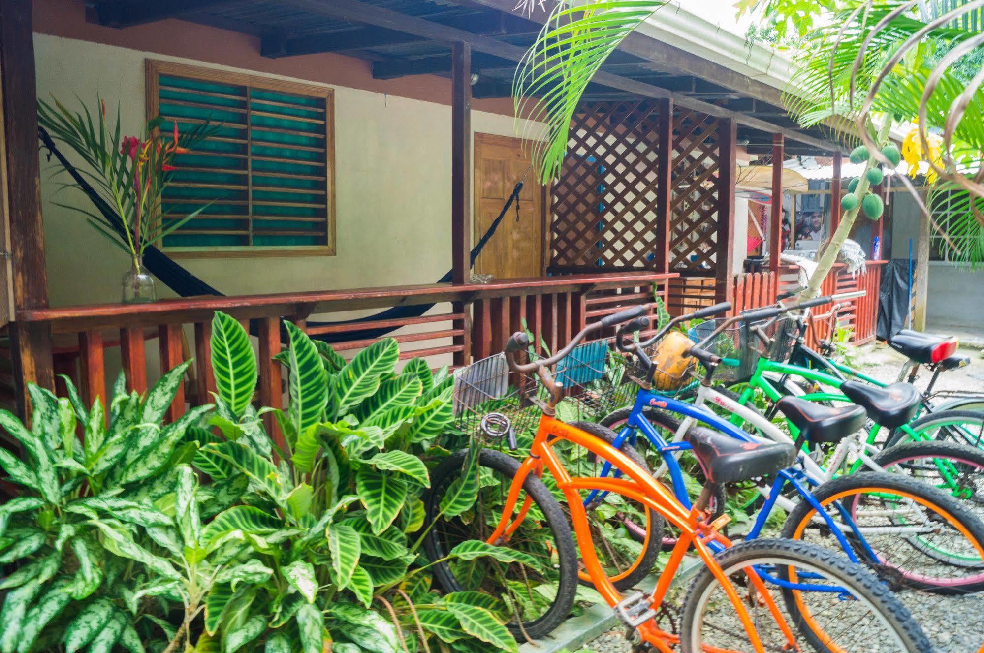 Hostal Cecilia Puerto Viejo de Talamanca Buitenkant foto