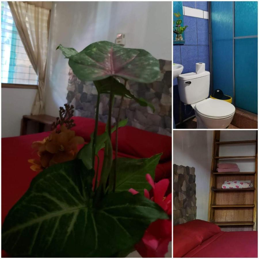 Hostal Cecilia Puerto Viejo de Talamanca Buitenkant foto